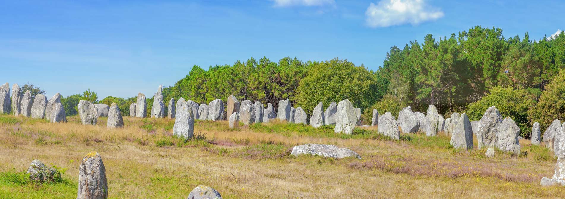 alignements menhirs