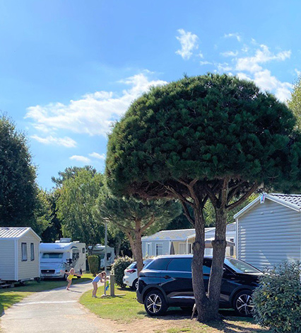 campingplatz mobil home