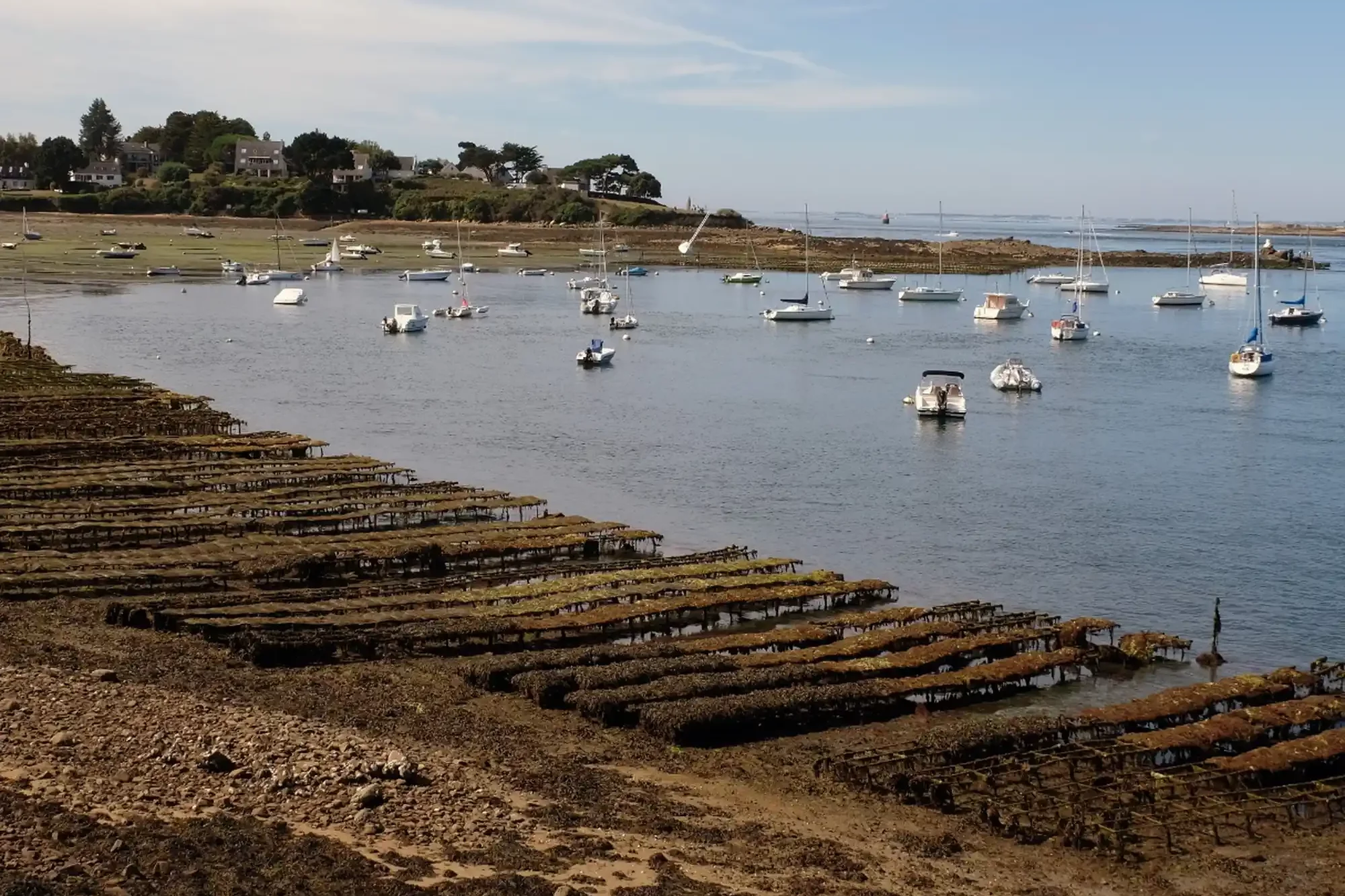 Morbihan Gulf